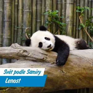 Lenost: hřích, životní styl, nebo evoluční výhoda?