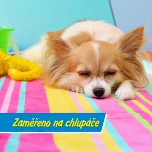 Co jim v létě nejvíc pomáhá?