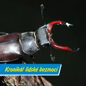 Co znamená, když je něco „kafkovské“?