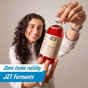 Z Čech až na stůl v top restauracích. V JZT Ferments dělají kombuchu jinak