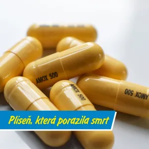Jak začala antibiotická revoluce?