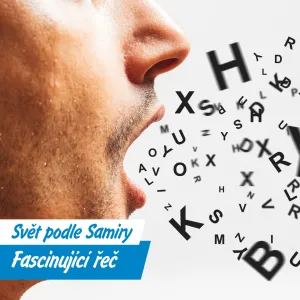 Od píky až po ocet: Původ českých rčení, která používáme každý den