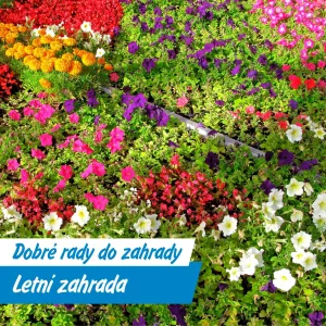 Léto na zahradě: Péče, která kvete