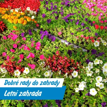 Léto na zahradě: Péče, která kvete