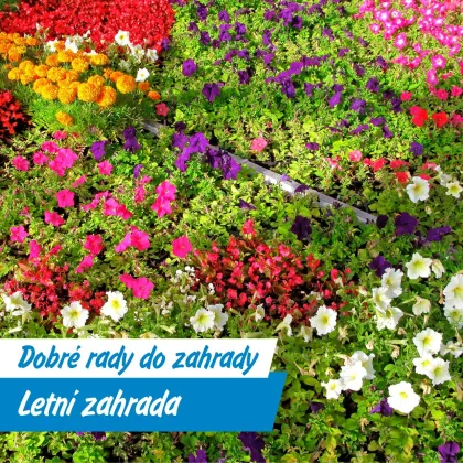 Léto na zahradě: Péče, která kvete