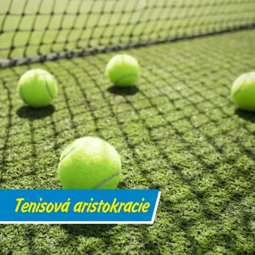 Jak vypadal první Wimbledon?