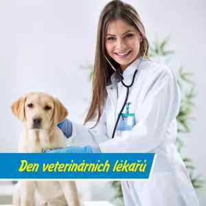 Za každým zdravým zvířetem stojí odborník s velkým srdcem