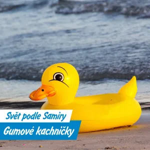 Ztracené kachničky, které změnily svět oceánů