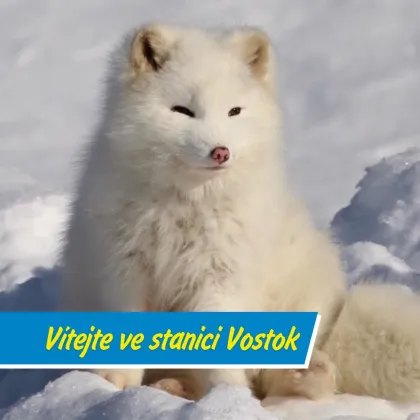 Největší mrazák světa