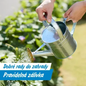 Červenec na zahradě: zálivka, hnojení i řízkování