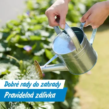 Červenec na zahradě: zálivka, hnojení i řízkování