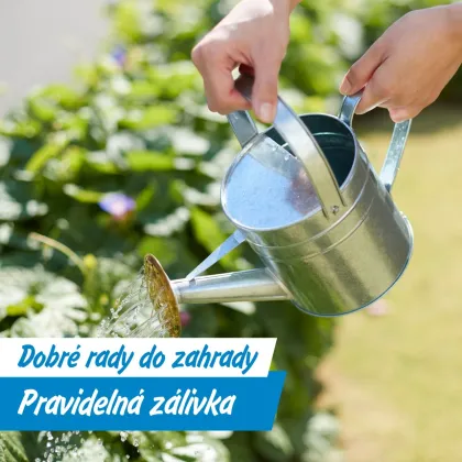 Červenec na zahradě: zálivka, hnojení i řízkování