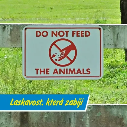 Sušenky, co zabíjí. Proč nesmíte krmit zvířata v zoo