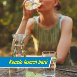Lesní bary, kde vládne důvěra