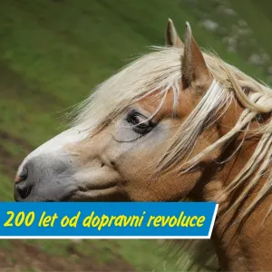 Věděli jste, že první železnice u nás jezdila na koňský pohon?