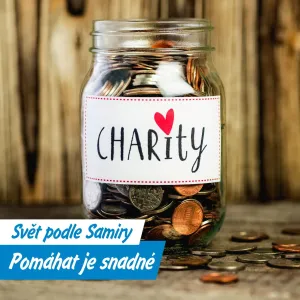 Charita ano, ale s rozumem
