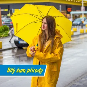 Jak funguje zvuk deště na náš mozek?