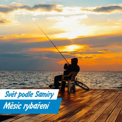 Od kapra velikosti prasete po rybu těžkou dvě tuny: světové i české rekordy pod hladinou