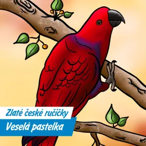 Omalovánky od srdce. Daniel Havlík boří předsudky a rozdává radost dětem