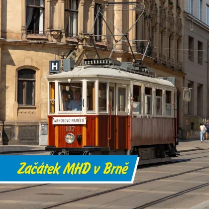 Koňka z Moravského náměstí