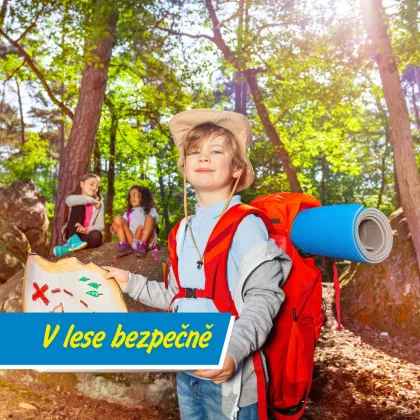 Jak v lese neztratit hlavu ani směr