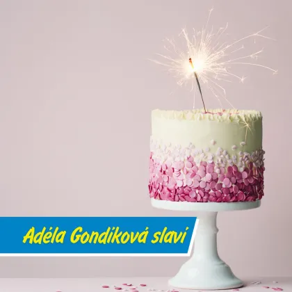 Kdo si pamatuje pořad Gondíci s.r.o.?