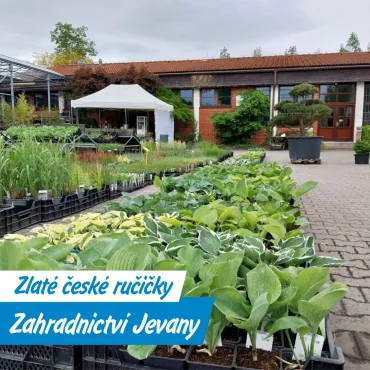 Zahradnictví Jevany: Rostliny, tradice i inspirace pro celou rodinu