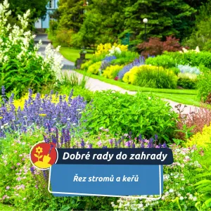 Poslední šance, jak správným řezem podpořit úrodu