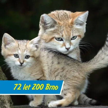 Od skromných začátků k moderní ZOO
