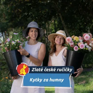 Kytky za humny: rodinná farma z Dopšic dělá radost nevěstám i milovníkům přírody