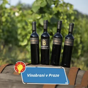 Víno, burčák a živá hudba: Vinobraní ožije na Vinici sv. Kláry v Praze