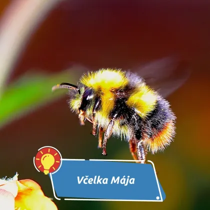 Malá hrdinka, která dobyla svět