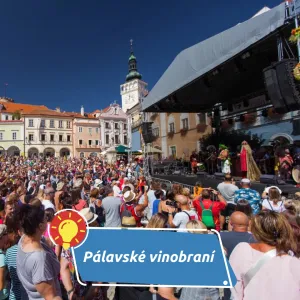 Tip na výlet: Pálavské vinobraní