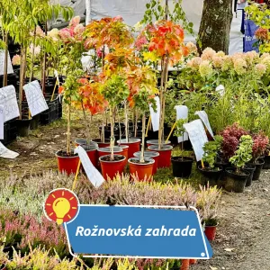 Skvělá atmosféra Rožnovské zahrady láká i letos podzimními barvami