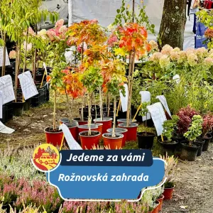 Skvělá atmosféra Rožnovské zahrady láká i letos podzimními barvami