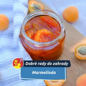 Marmelinda: sladký návrat do dětství v moderním kabátě