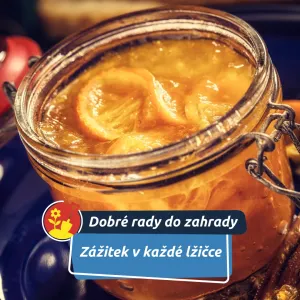 Sladké kouzlo Marmelindy: když ovoce hraje první roli