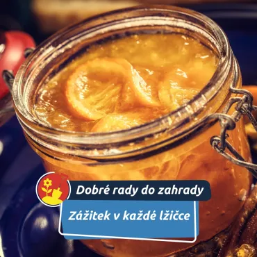 Sladké kouzlo Marmelindy: když ovoce hraje první roli