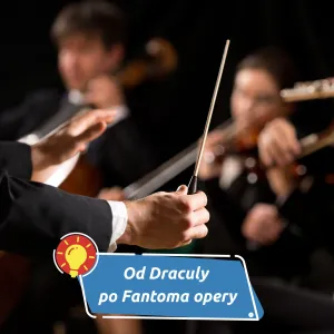 Životní role Pavla Vítka