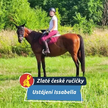 Ustájení Issabella: Od učitelky k pastevnímu ustájení koní
