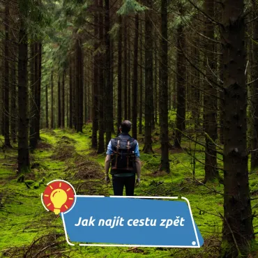 Co dělat, když se v lese při houbaření ztratíte
