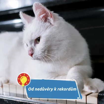 Kočky hrály 18 let na Broadwayi