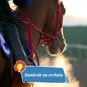 Jak Josef Váňa přepsal historii dostihů