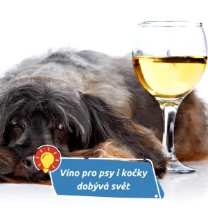 Zklidní stres a pobaví páníčky