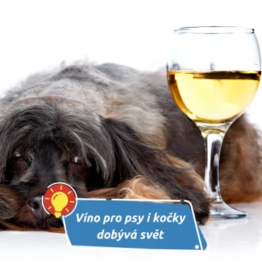 Zklidní stres a pobaví páníčky