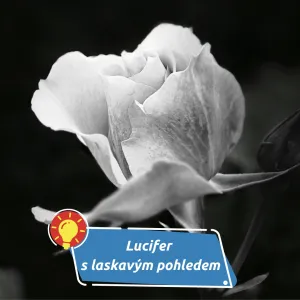 Zanechal po sobě desítky rolí i vlastní scénu