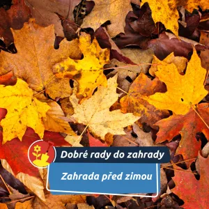 Podzim na zahradě: co uděláte teď, oceníte na jaře