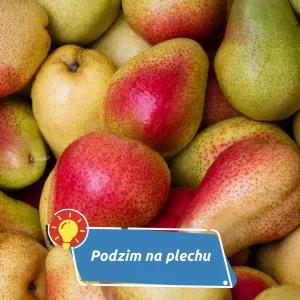 Hruškový koláč jako od babičky