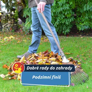 Poslední zahradní volání: připravte svou zahradu na zimu s úsměvem