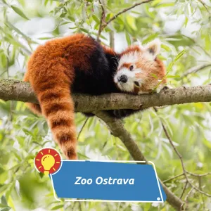 Od hornického parku k modernímu botanickému parku
